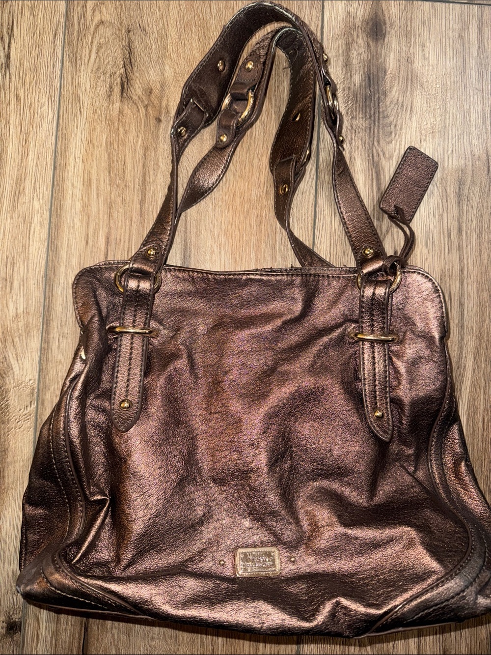 Y2K The Sak Metallic Bronze Leather Shoulder Bag
